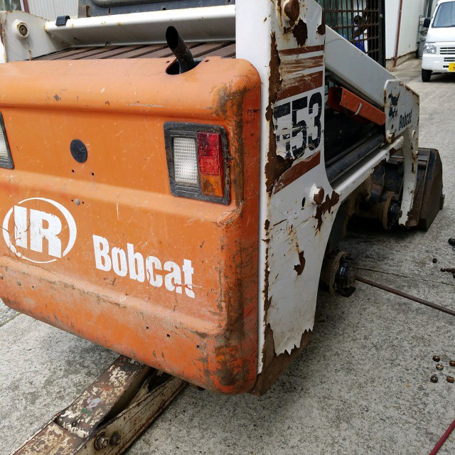 bobcat_9